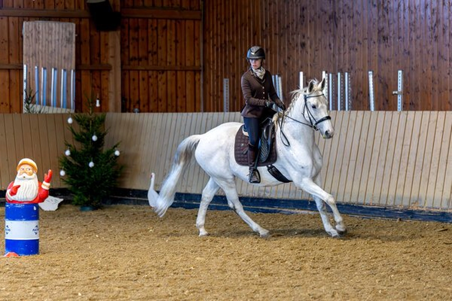 Jessica Jandt – Reitausbildung – Mann auf einem Pferd